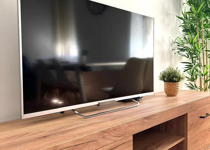 Vlc Center 4 Room Apartment